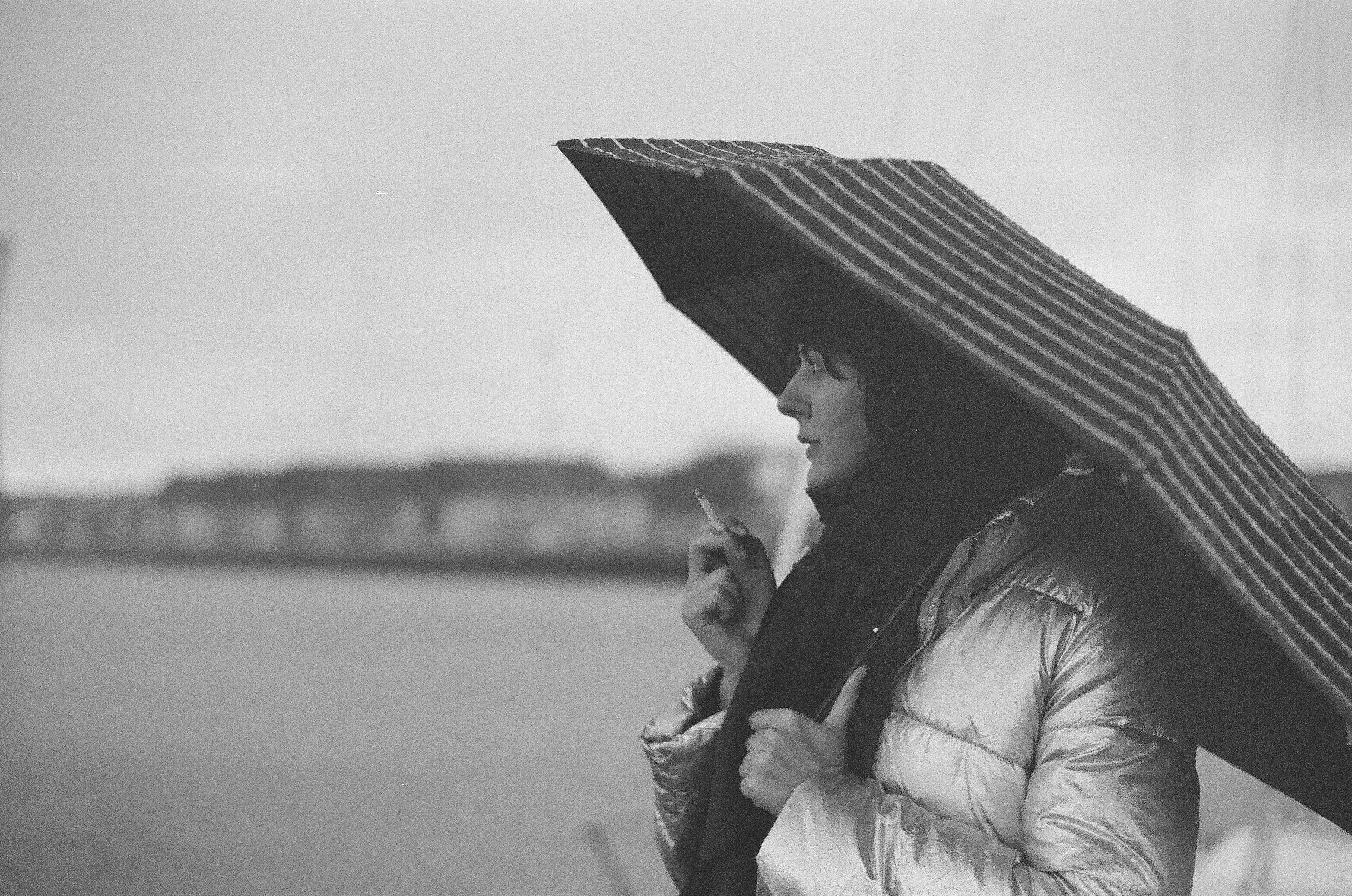 Umbrella