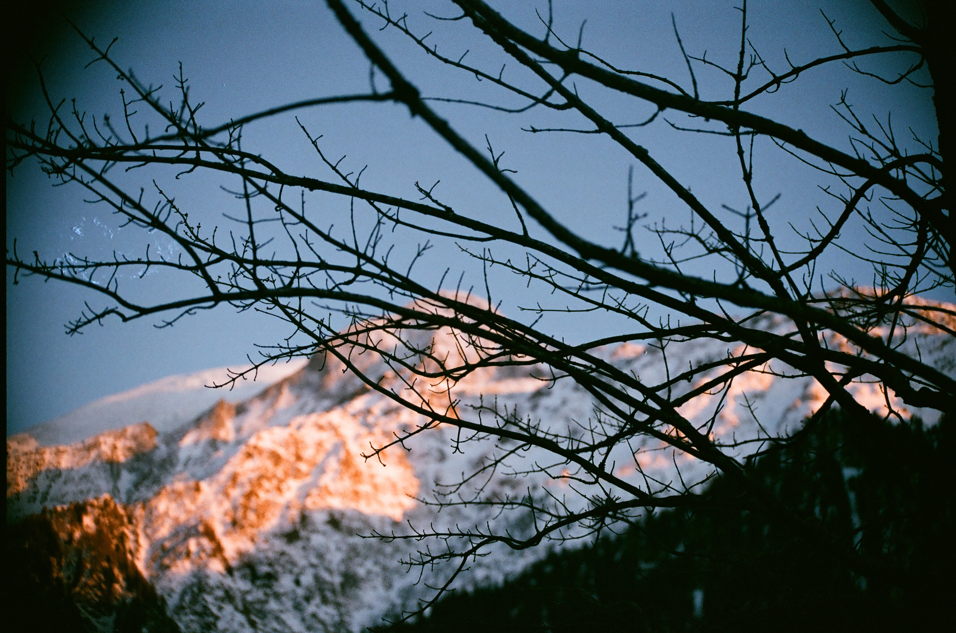 Mt Blanc