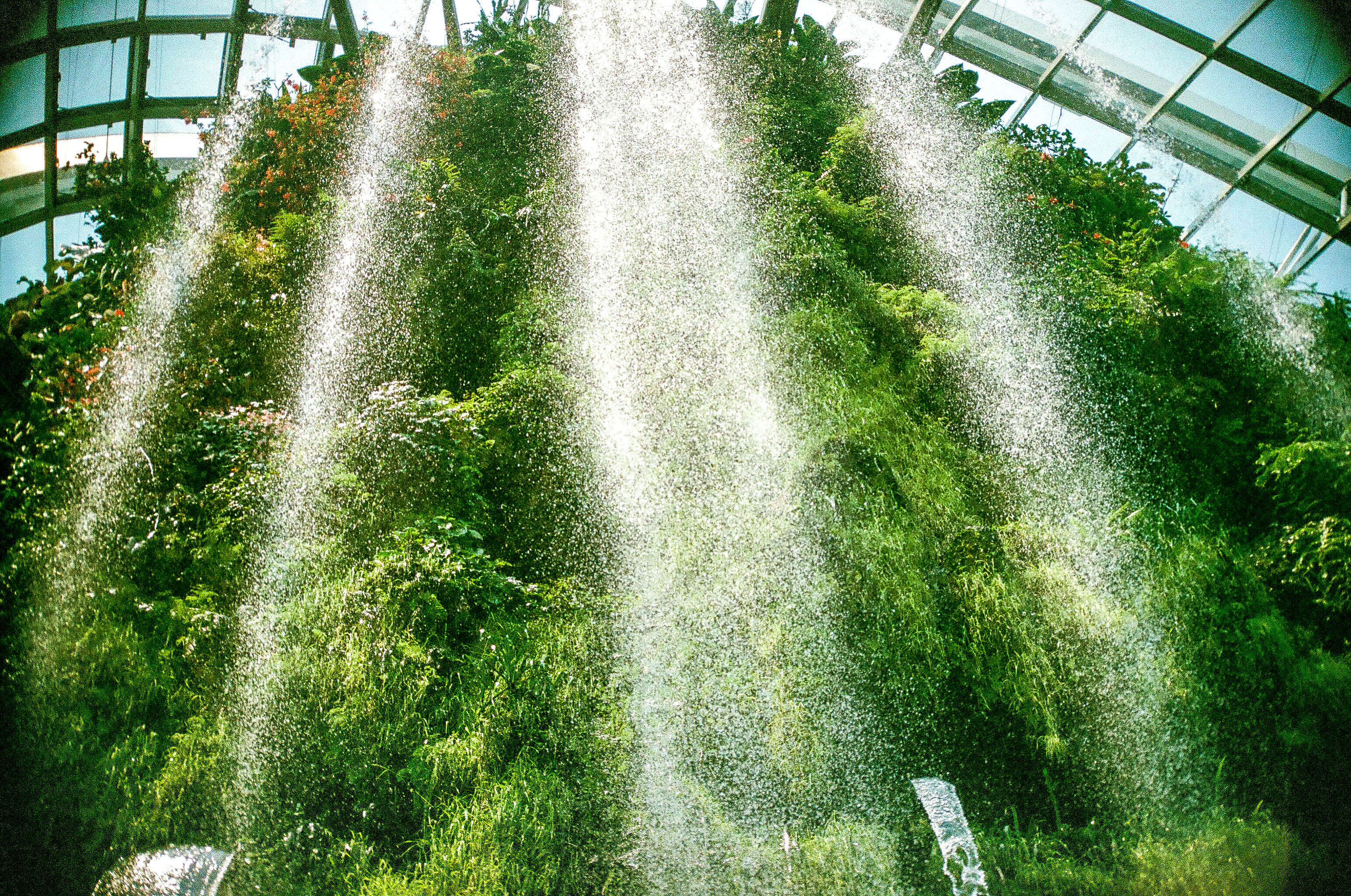 Singapore Water