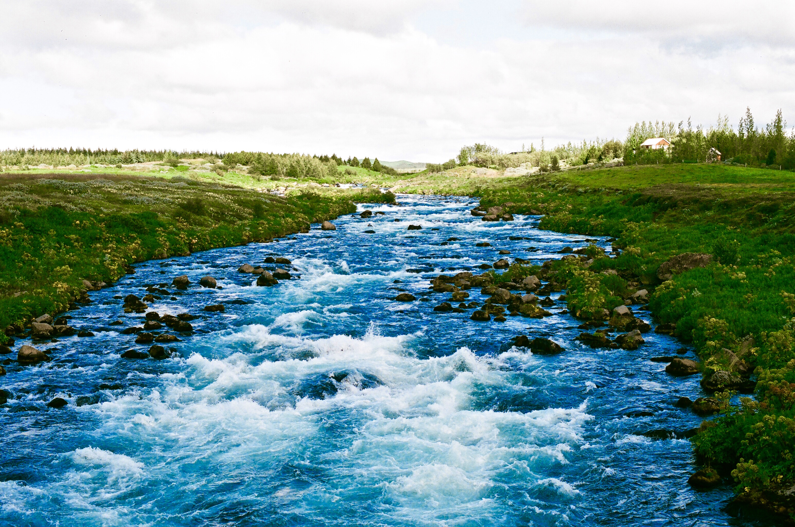 The River